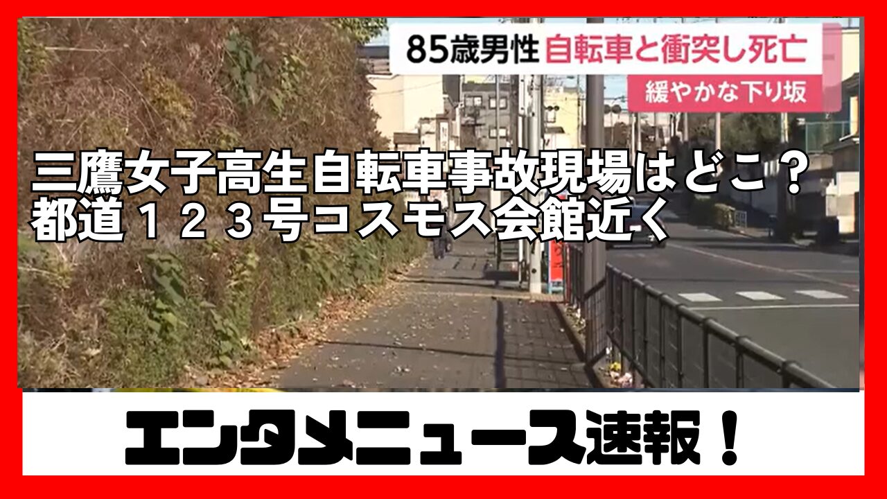 三鷹 女子高生 三鷹女子高生自転車事故現場はどこ?都道123号コスモス会館近く | エンタメニュース速報!